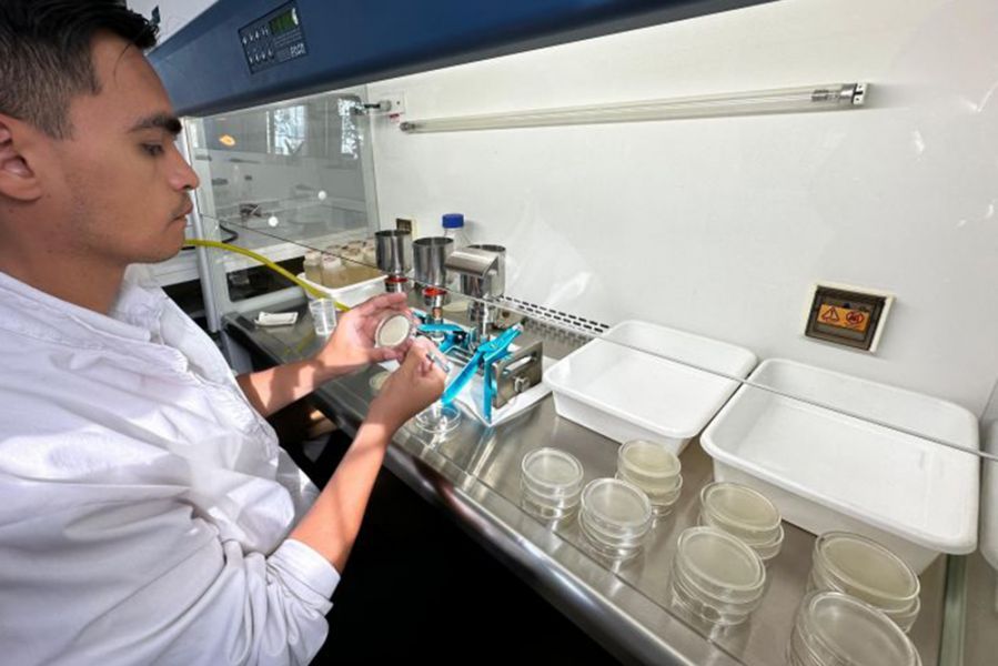el agua de salta sin rastro de salmonella