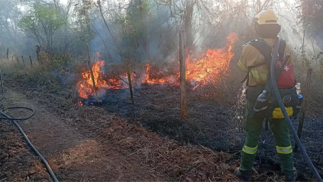 alertan por riesgo extremo de incendios en la ciudad de salta