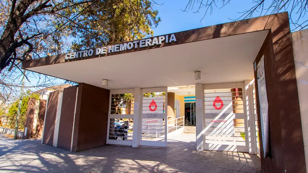 efecto lauty la campana que transforma el dolor en una red de donantes en salta