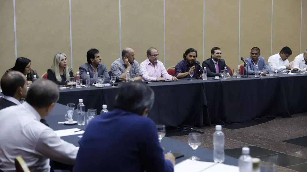 saenz destaco ante senadores el caracter federal y participativo del presupuesto 2026