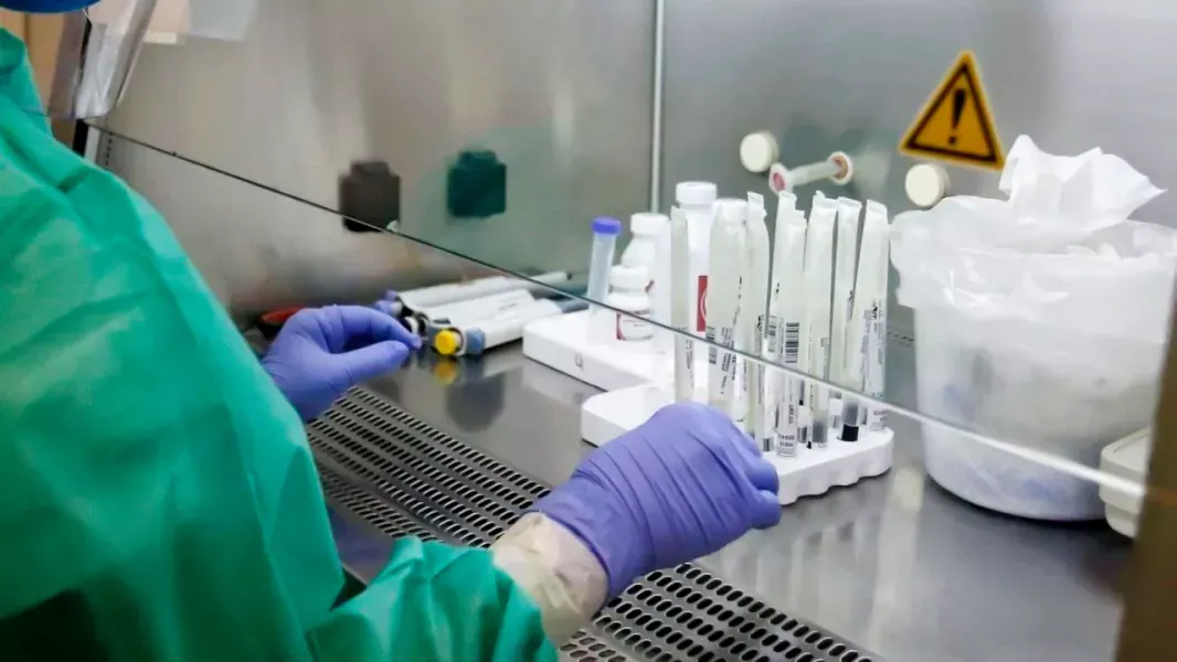 salta descarta la circulacion de la variante k de influenza a