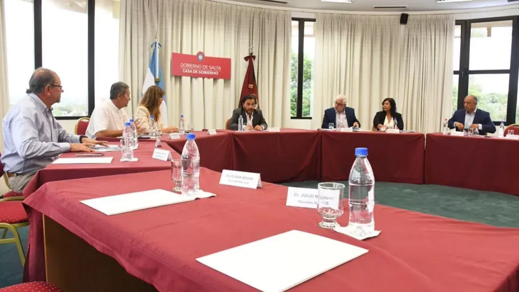 saenz reunio a legisladores nacionales para blindar los recursos de salta frente a la reforma laboral