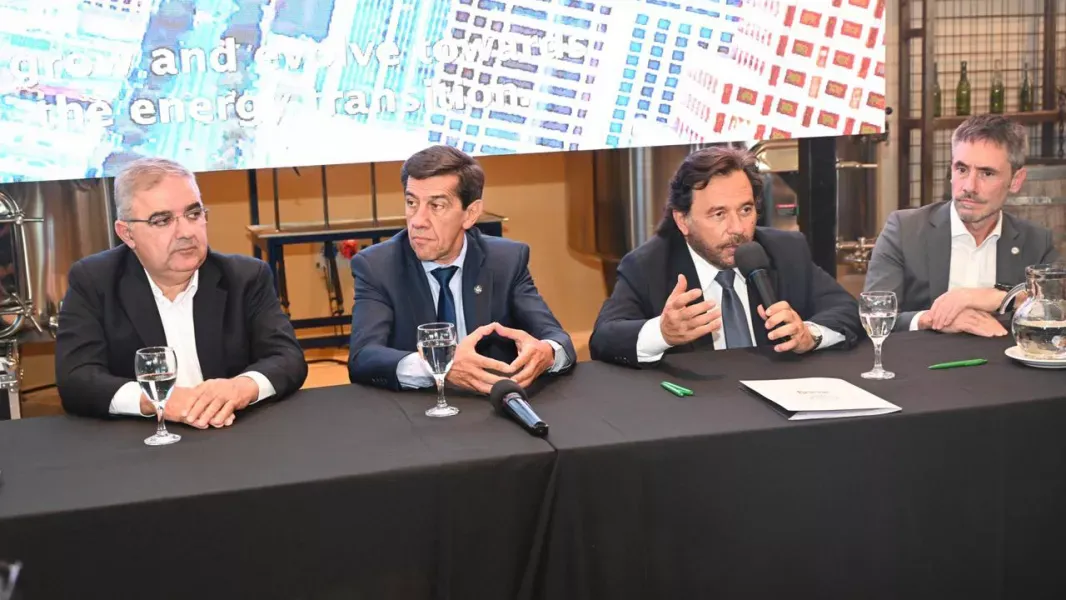 saenz pidio reglas estables para atraer inversiones en la mesa del litio