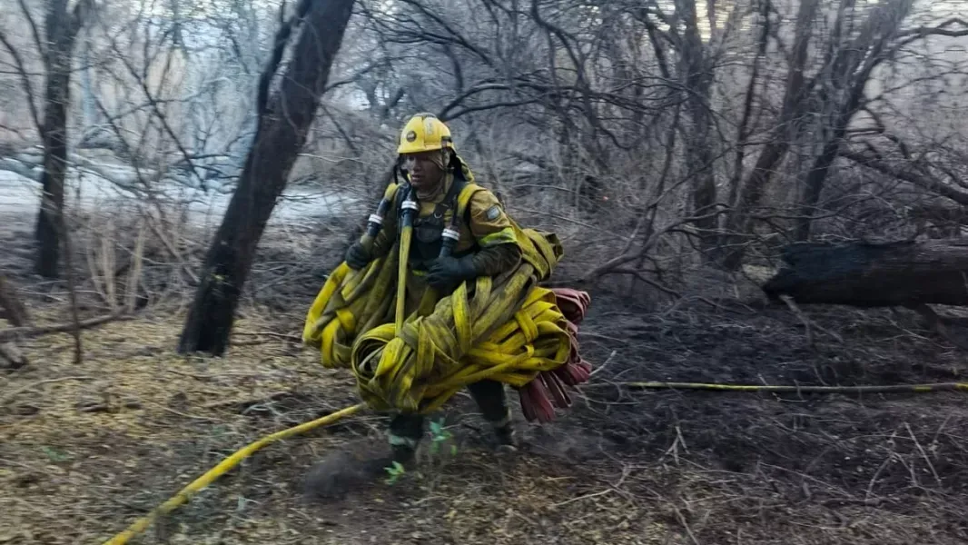 incendio en cafayate investigan posibles delitos ambientales y advierten sobre fuertes sanciones penales