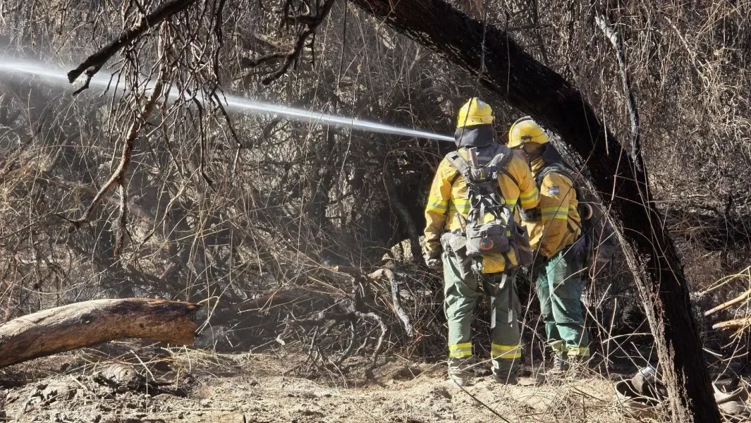 Incendios en Salta: Capital y Tartagal están en nivel extremo y hay un foco activo en Cafayate
