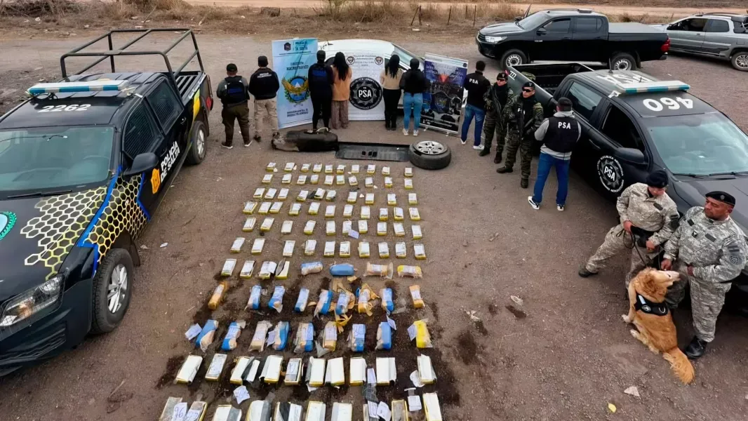 golpe al narcotrafico desarticularon una banda y secuestraron mas de 190 kilos de cocaina