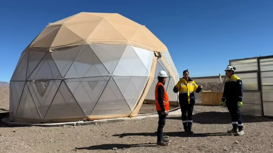 el proyecto rincon crea un banco de semillas para conservar especies nativas de la puna