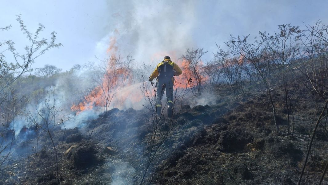 bomberos sofocaron incendios en capital y distintas localidades del interior
