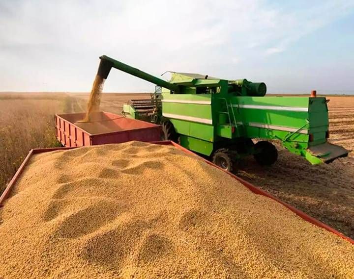 alivio fiscal al agro el norte mira desde afuera las medidas de nacion