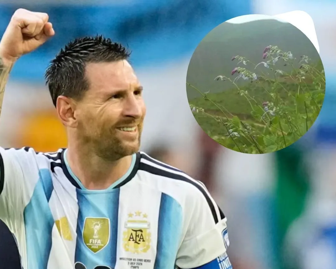 La  planta en honor a Messi