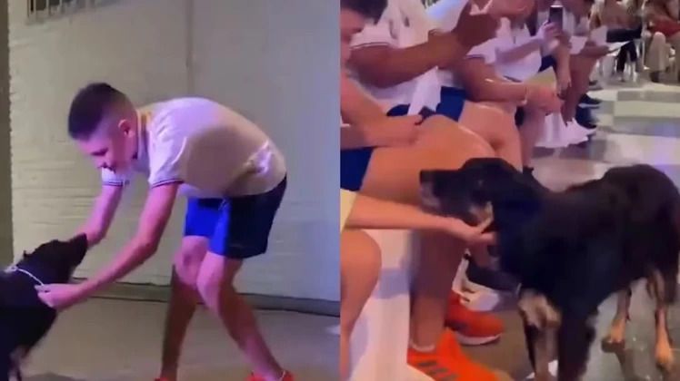 egreso la negrita la perrita que acompano a un alumno a la escuela durante todo el ano video