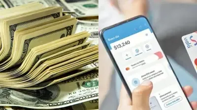 las billeteras virtuales suspendieron la venta de dolar oficial