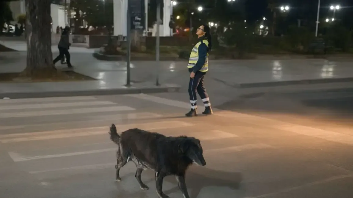 un gesto de amor en cerrillos una oficial ayudo a una perrita callejera a cruzar la calle