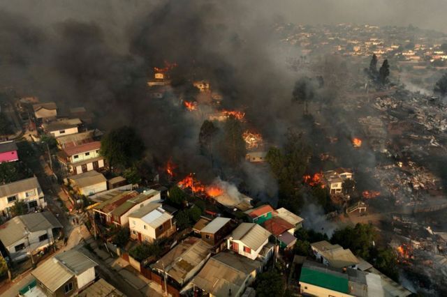 confirmaron la muerte de 51 personas por los incendios forestales en el centro de chile