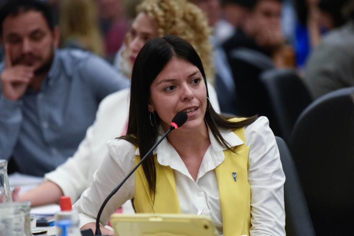 villada cuestiona a los legisladores libertarios por el caso espert donde estan orozco zapata y olmedo