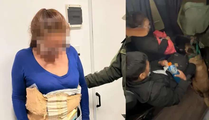 helena la perra antidrogas delato a una pasajera que viajaba en micro con dos kilos de cocaina video