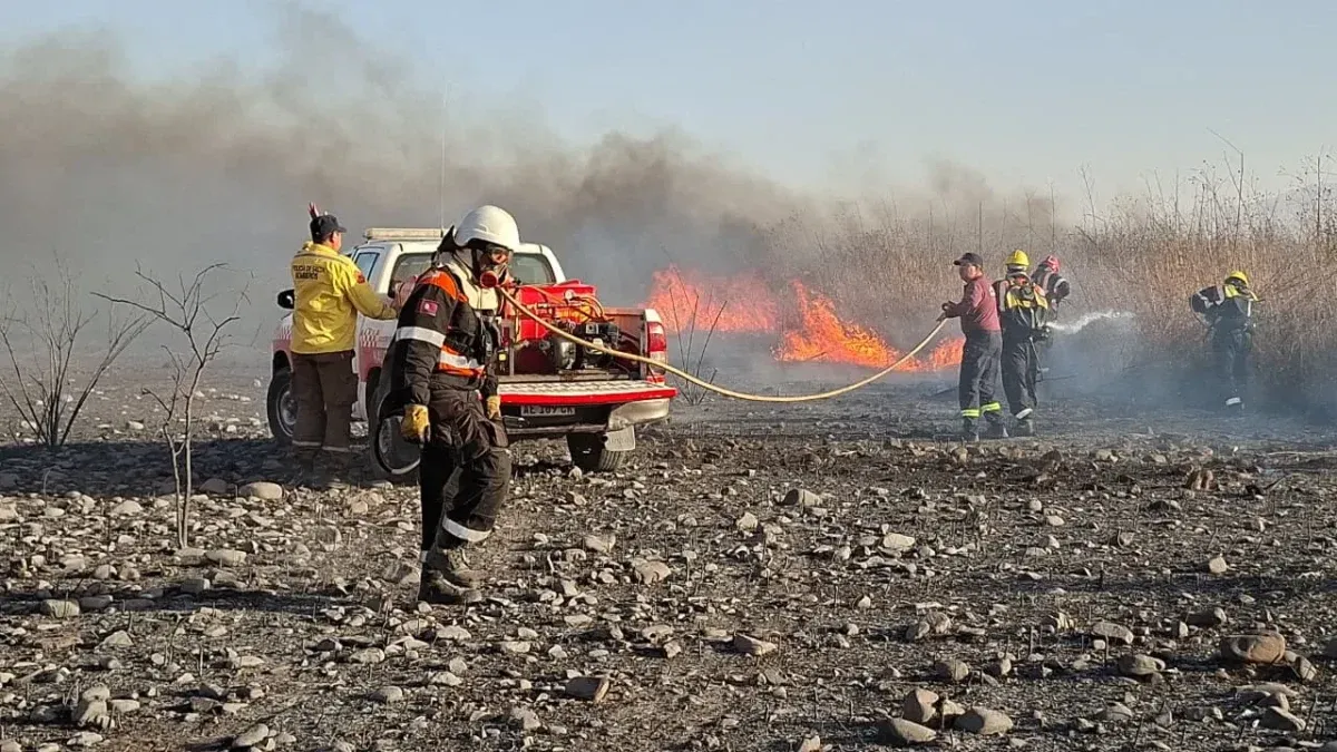 en un ano los incendios arrasaron 70 veces mas superficie en salta