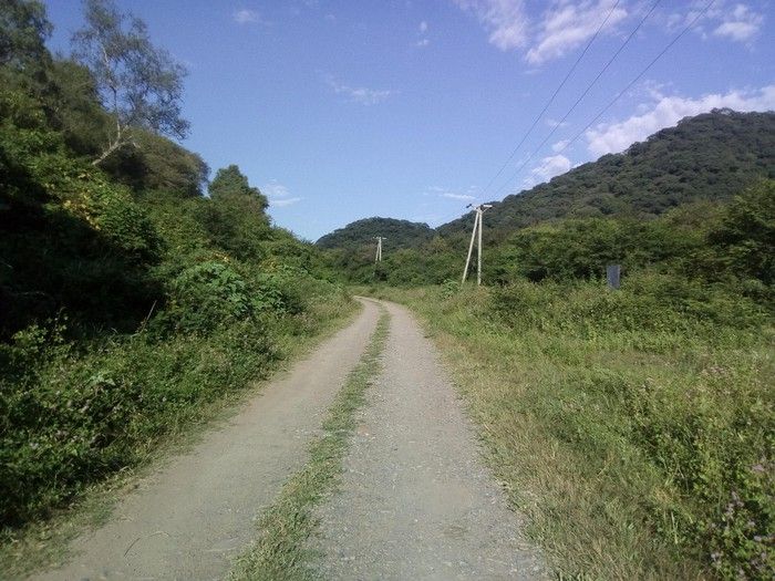 macabro hallazgo encontraron un cuerpo en descomposicion en una finca saltena