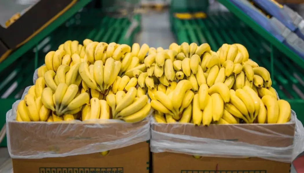 salta busca revisar con nacion la nueva normativa que regula el ingreso de bananas