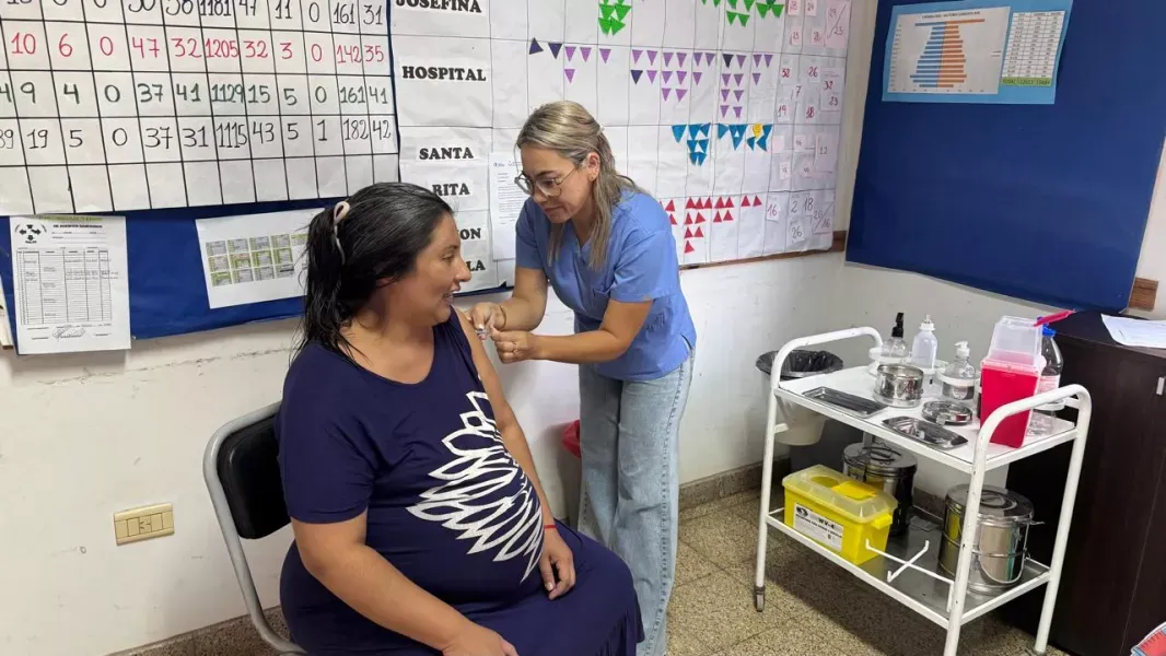 salta aplico casi 25 mil dosis antigripales en la primera semana de campana