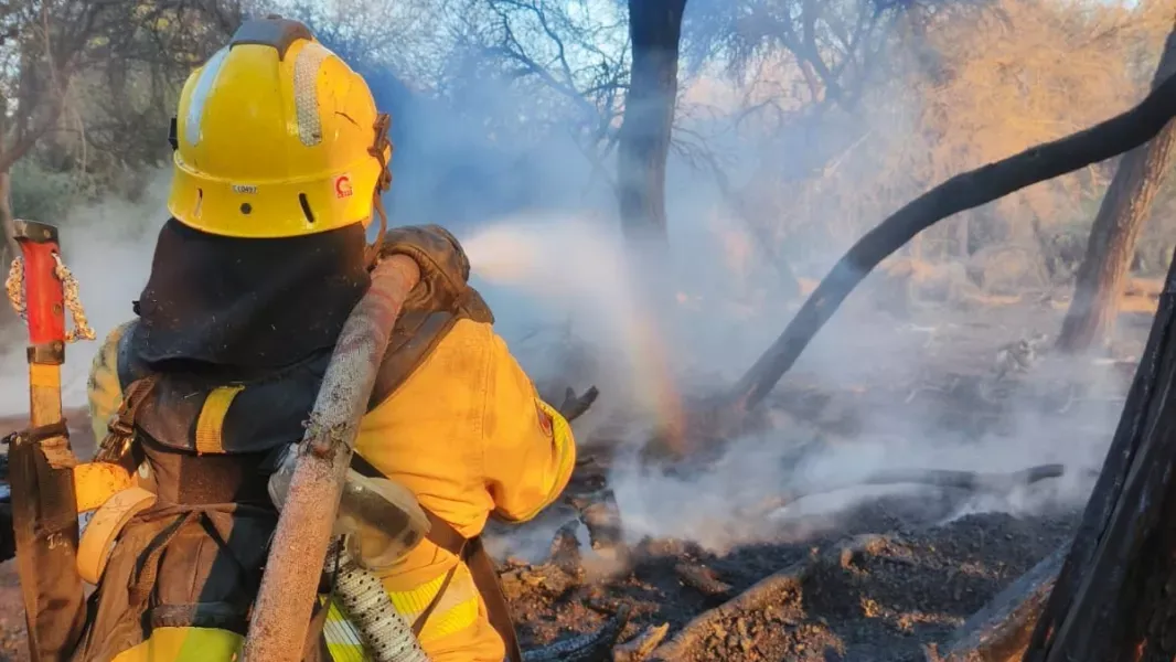 ya son mas de 50 las hectareas arrasadas por el incendio forestal en cafayate