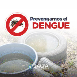 Banner de campaña contra el Dengue.