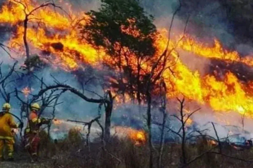 alerta por vientos y riesgo muy alto de incendios forestales en salta piden extremar los cuidados