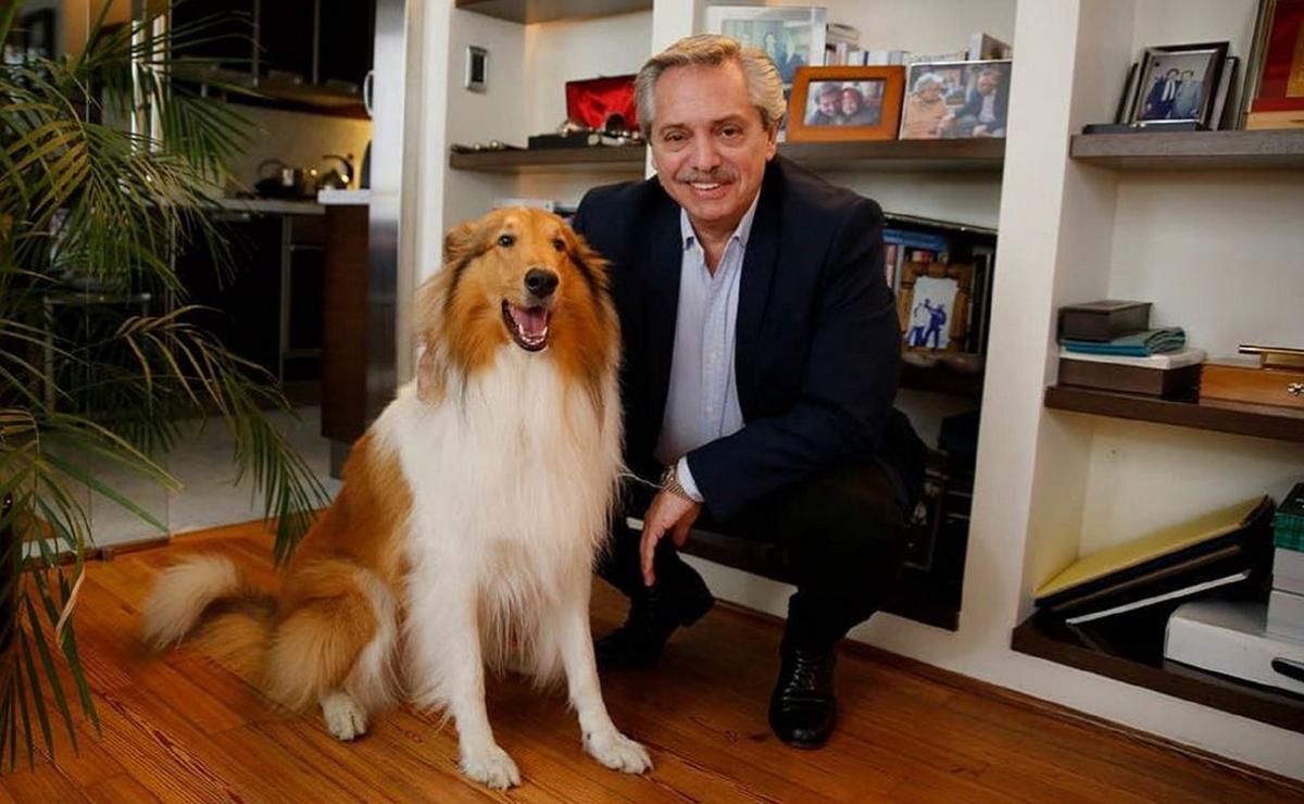 murio dylan el perro de alberto fernandez ahora correras en algun paraiso