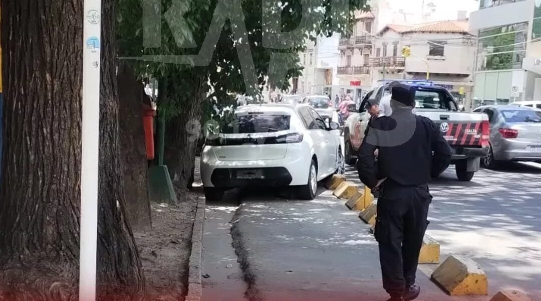 en pleno centro un conductor se llevo por delante la bicisenda de la belgrano