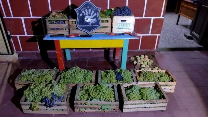 temporada de uva en cafayate ladrones atrapados con 11 cajones