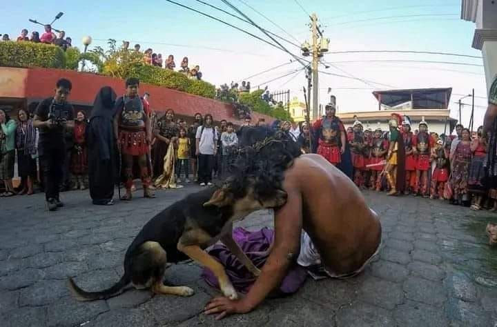 perrito se acerco a consolar a su dueno que hacia de jesucristo en un viacrucis