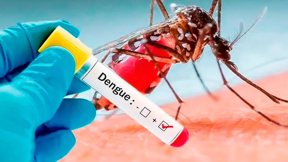 urgente salud publica informo el primer caso de dengue en la ciudad de salta