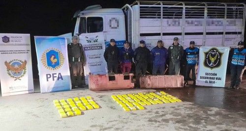 secuestraron mas de 70 kilos de cocaina escondidos en tanques de combustible de un camion de carga