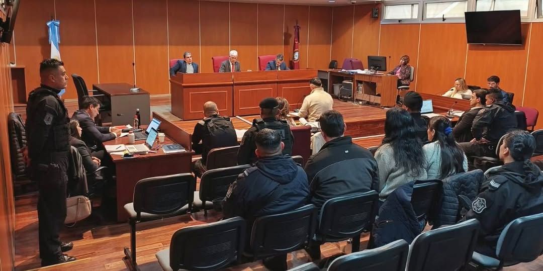 declaro ricardo vilardel admitio dano economico y se desligo de decisiones en generacion zoe