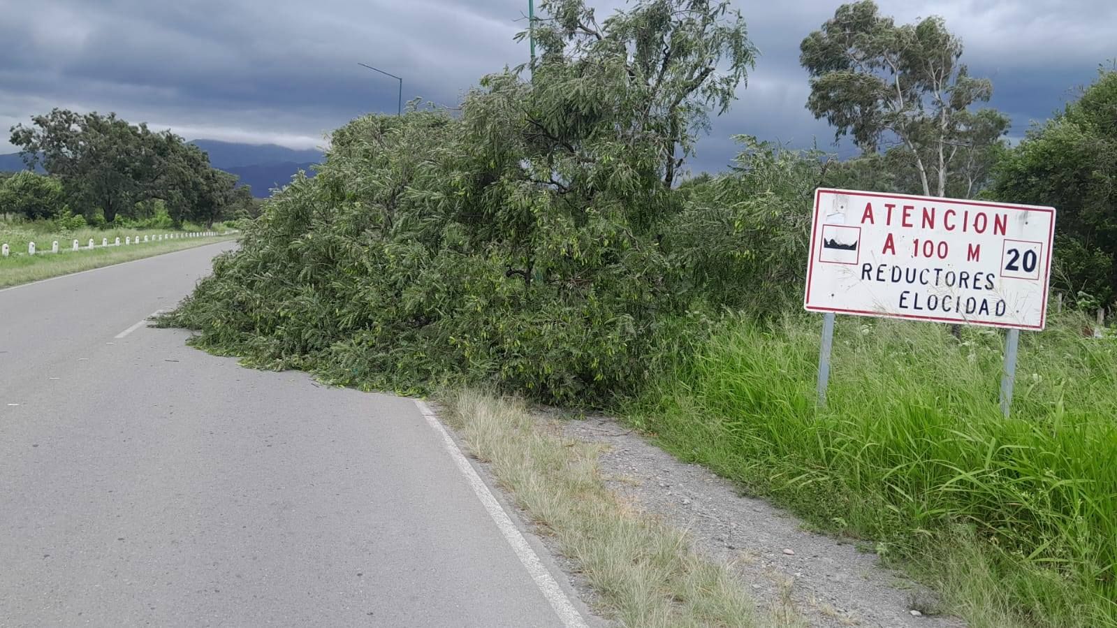 valle de lerma caida de postes arboles y cortes de luz por una intensa tormenta y vientos fuertes