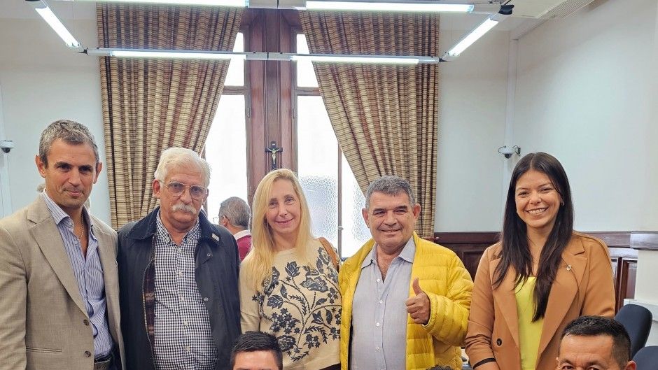 salta exige a la corte el restablecimiento de pensiones por discapacidad tras el corte de nacion