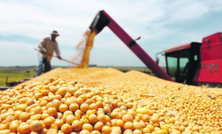 salta se consolida entre las diez provincias que mas exportan del pais