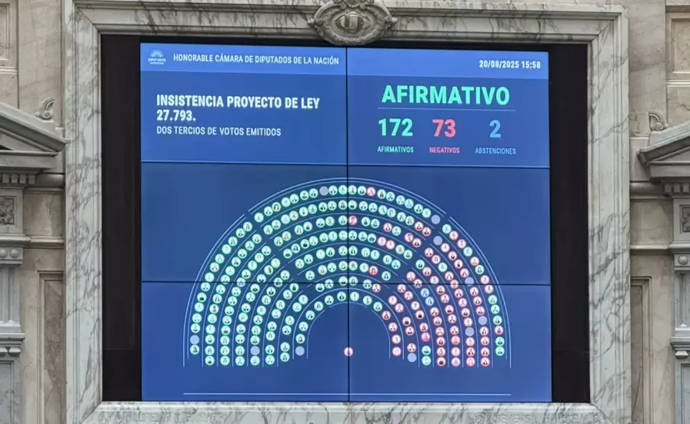 emergencia en discapacidad uno por uno como votaron los diputados saltenos el rechazo al veto de milei
