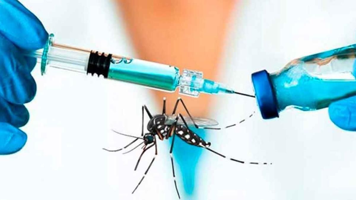 la vacuna contra el dengue estara disponible en noviembre costara alrededor de 37 mil pesos