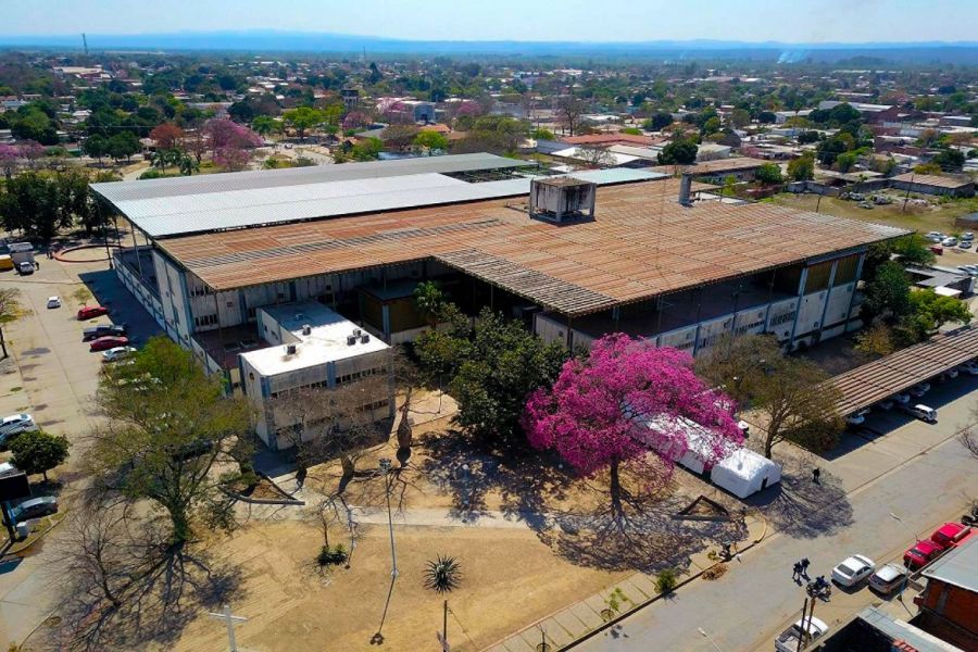 ni las gracias le salvaron la vida a una mula y se escapo sin pagar el hospital