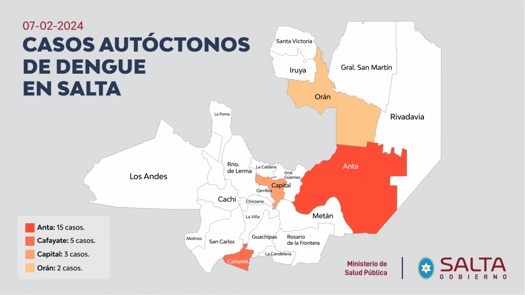 cafayate y capital se suman a los departamentos con brotes de dengue