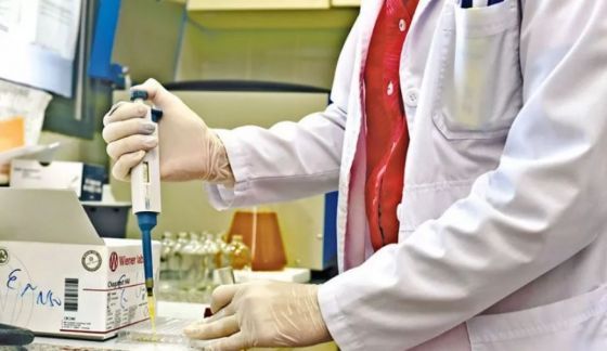 salta ya son 169 los casos confirmados de dengue y 888 de covid apelan a la conciencia social