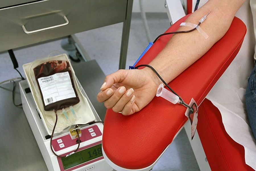 crisis silenciosa la falta de donantes voluntarios de sangre pone en riesgo al sistema de salud