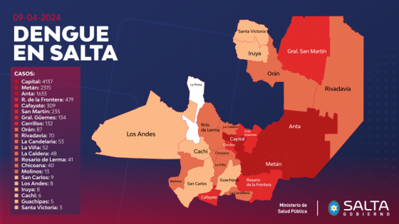 dengue son mas de 9 mil los casos confirmados en salta
