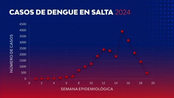 bajan los casos de dengue pero aun asi no hay que relajar los cuidados