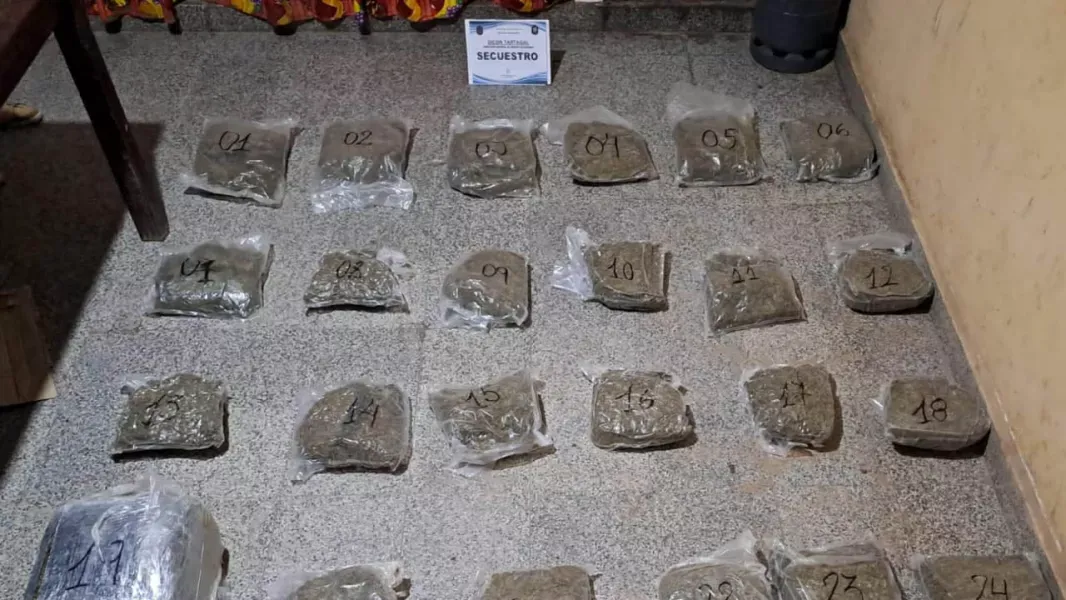 golpe al narcomenudeo en oran incautan mas de mil dosis de marihuana