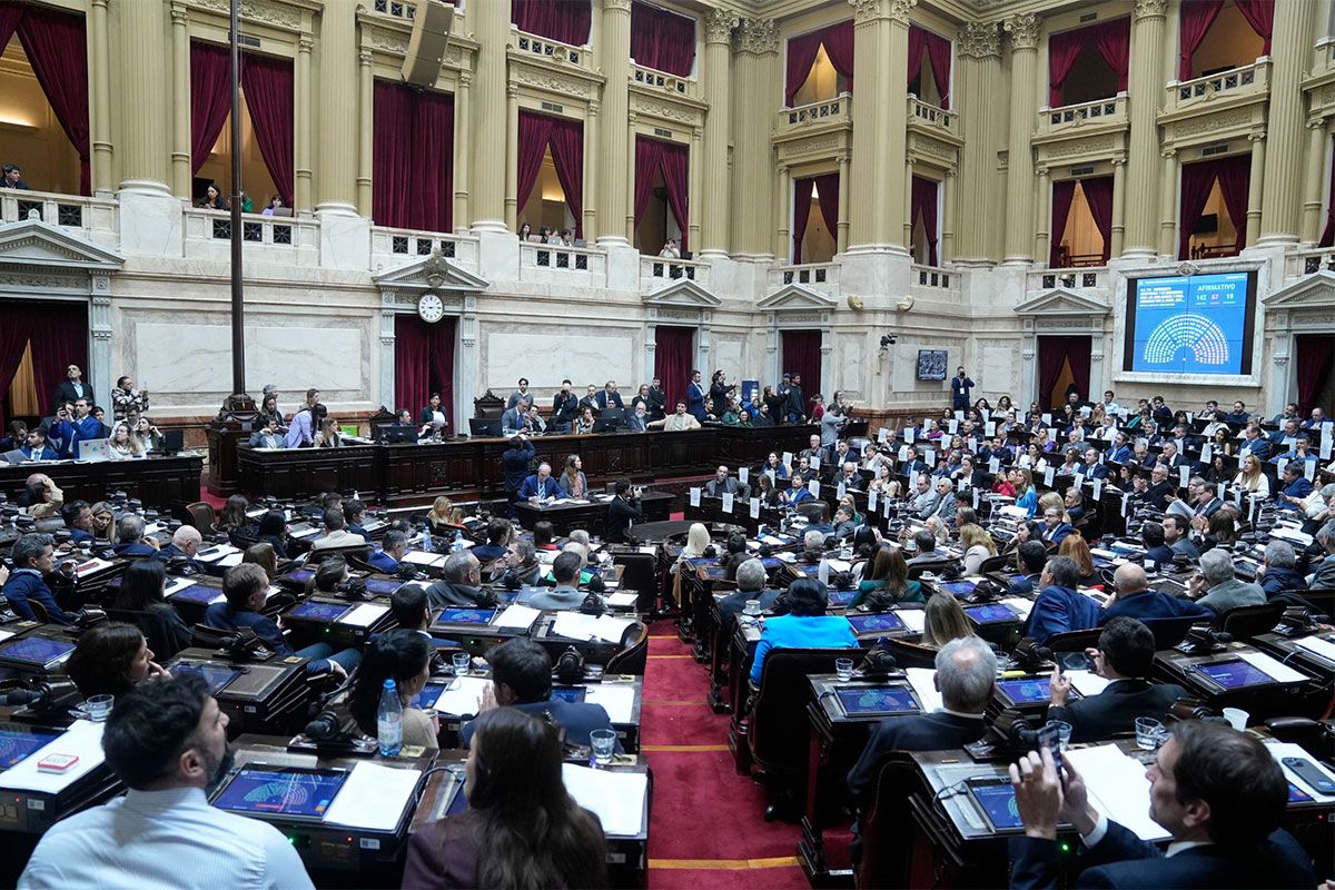 diputados convoca sesion clave para debatir el financiamiento de universidades y del hospital garrahan