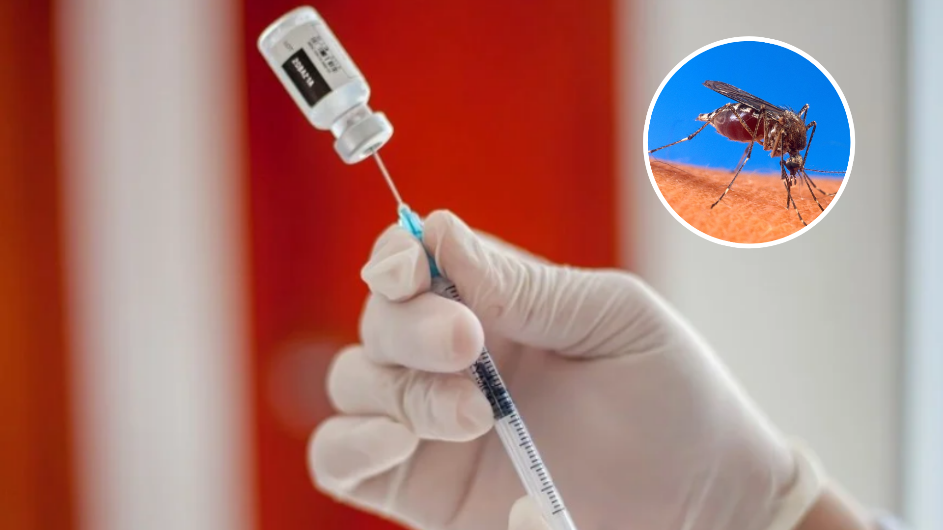 nacion decidio avanzar al fin con la vacunacion contra el dengue pero solo en las zonas criticas