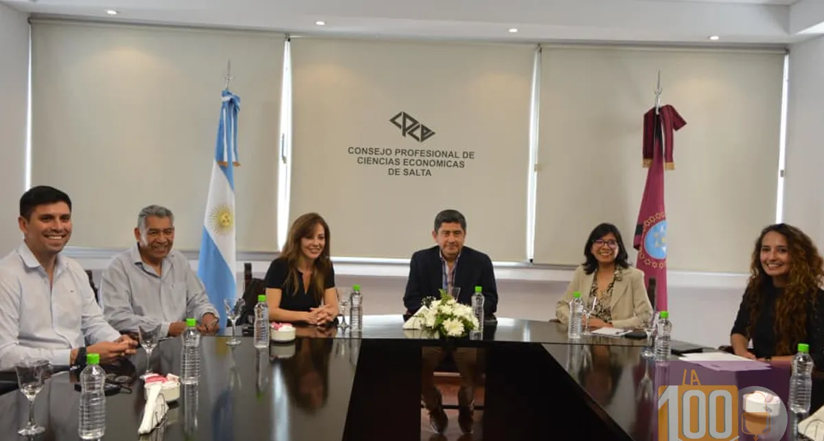 flavia royon impulsa una reforma tributaria federal junto a profesionales saltenos