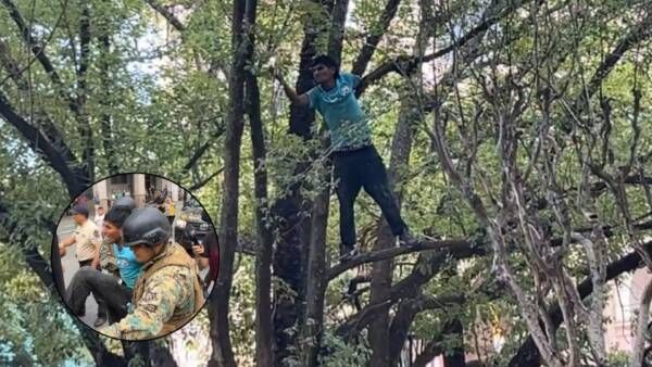 momentos de tension en la plaza 9 de julio cuando un hambre amenazo con arrojarse de un arbol